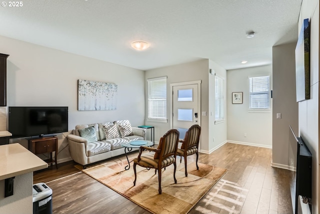 living room featuring hardwood / wood-style flooring