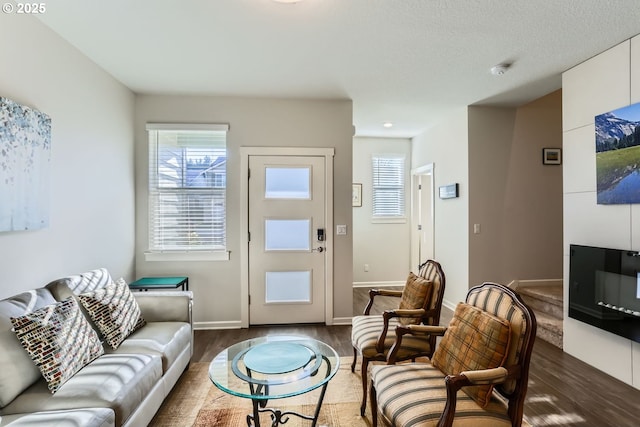 living room with dark hardwood / wood-style floors