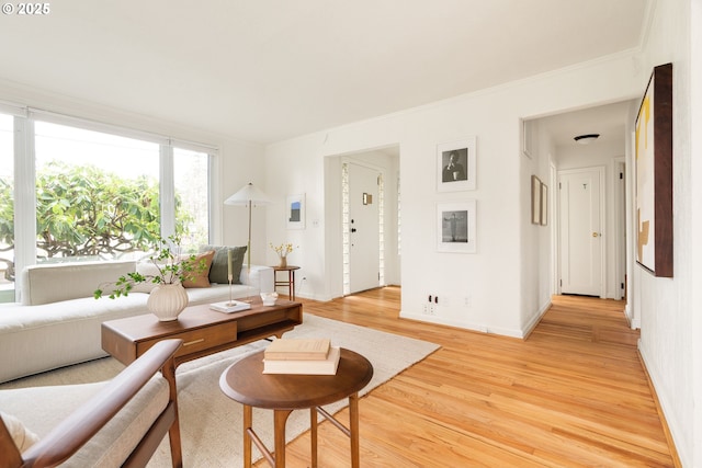 living area with ornamental molding, light wood finished floors, and baseboards