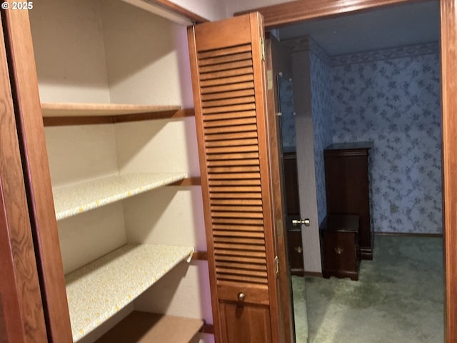 view of closet