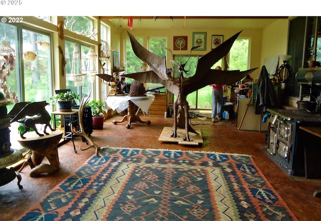 62242 Tamarack Springs Ln, Summerville, OR 97876 - interior space with plenty of natural light