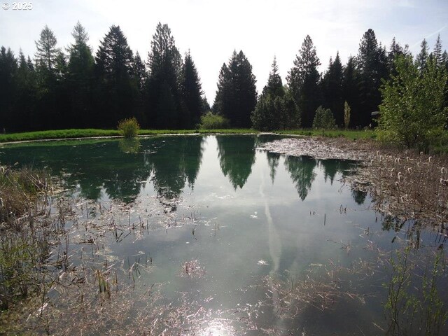 62242 Tamarack Springs Ln, Summerville, OR 97876 - water view with a heavily wooded area
