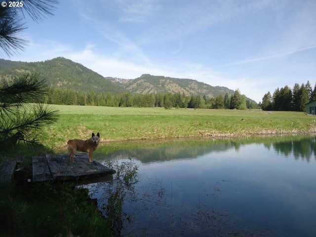 62242 Tamarack Springs Ln, Summerville, OR 97876 - water view with a mountainous background and rural landscape