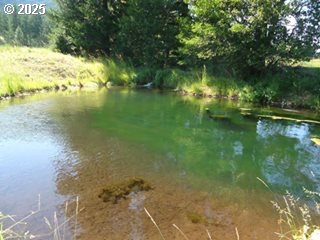 62242 Tamarack Springs Ln, Summerville, OR 97876 - water view