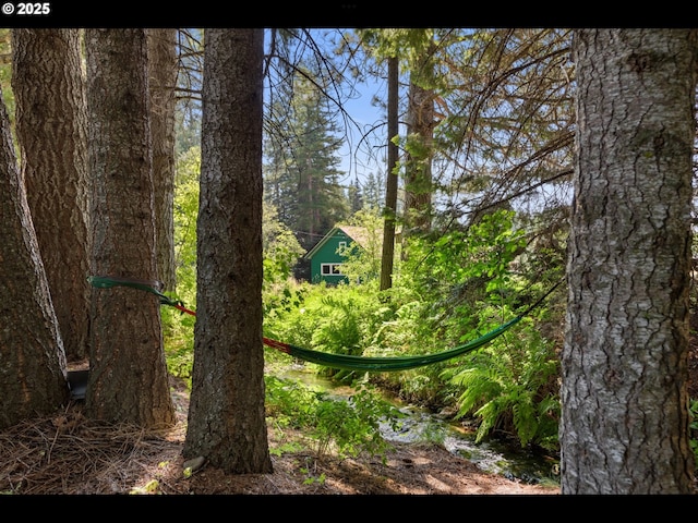 62242 Tamarack Springs Ln, Summerville, OR 97876 - view of undeveloped land