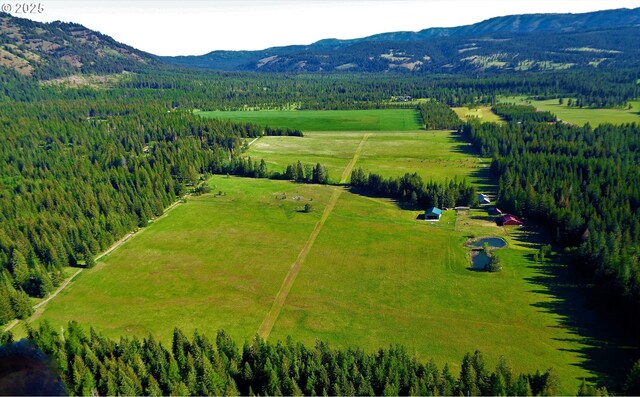 62242 Tamarack Springs Ln, Summerville, OR 97876 - overview of rural landscape with a mountainous background