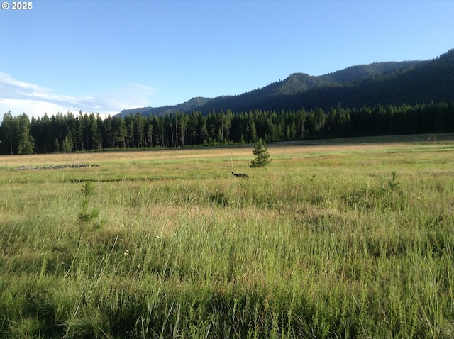 62242 Tamarack Springs Ln, Summerville, OR 97876 - view of mountain background with a heavily wooded area and rural landscape