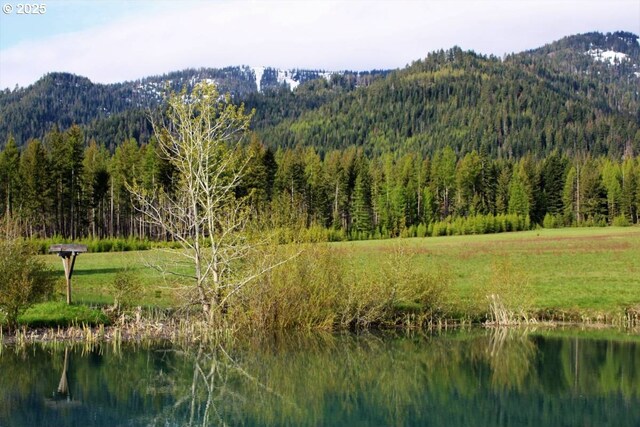62242 Tamarack Springs Ln, Summerville, OR 97876 - mountain view with a forest and a large body of water