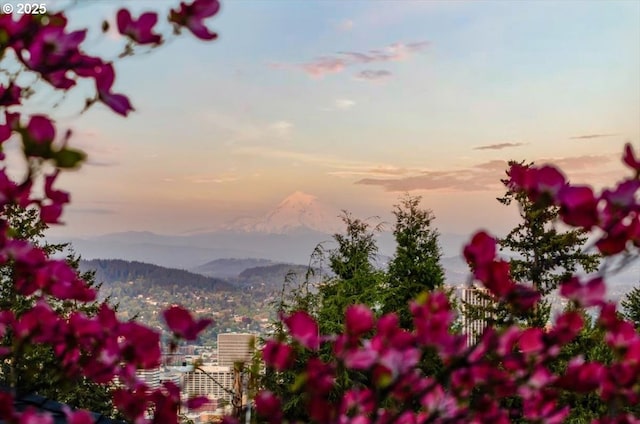 2975 SW Canterbury Ln, Portland, OR 97205 - view of yard featuring a mountain view