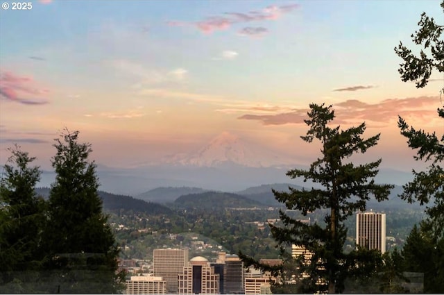 2975 SW Canterbury Ln, Portland, OR 97205 - view of mountain background