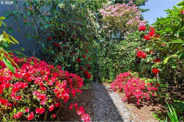 2975 SW Canterbury Ln, Portland, OR 97205 - view of yard
