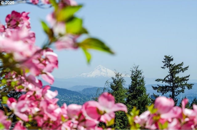 2975 SW Canterbury Ln, Portland, OR 97205 - exterior view of a mountainous background