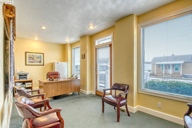 sitting room with carpet floors and a textured ceiling