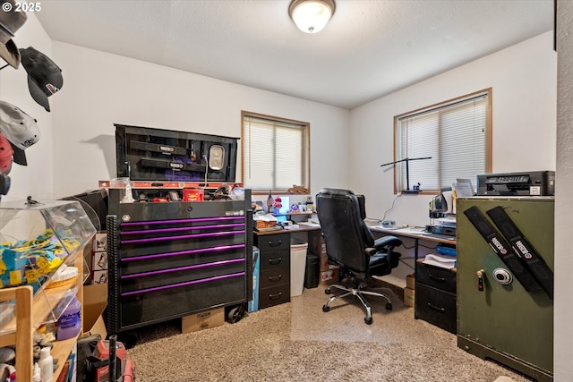 view of carpeted office