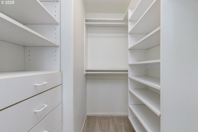walk in closet featuring carpet flooring