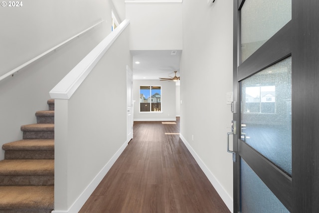 hall featuring dark hardwood / wood-style flooring and plenty of natural light