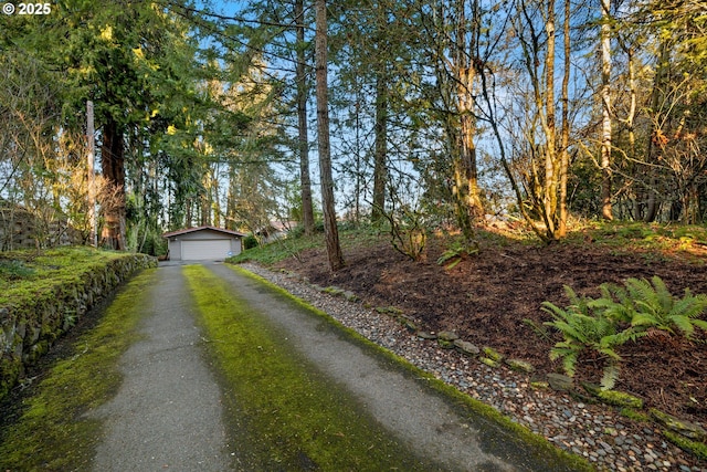 view of road featuring driveway