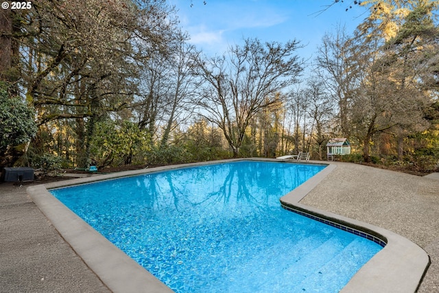 pool with a diving board