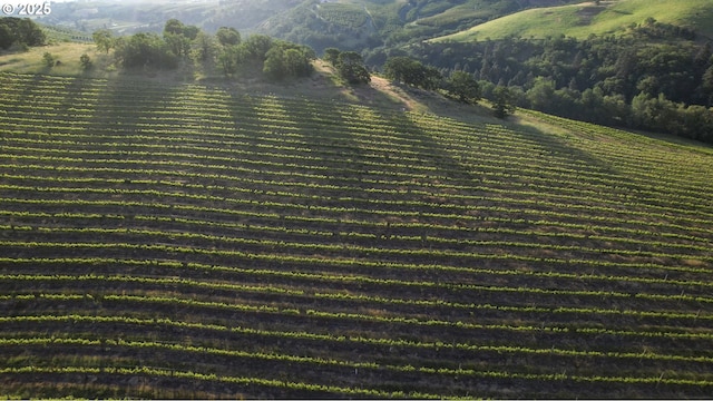 5450 Mill Creek Rd, The Dalles, OR 97058 - aerial view of sparsely populated area with farmland