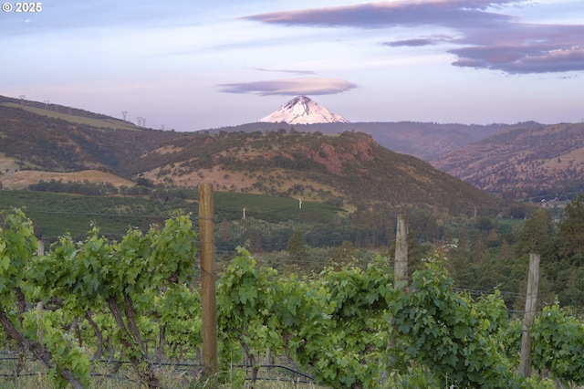 5450 Mill Creek Rd, The Dalles, OR 97058 - view of mountain background