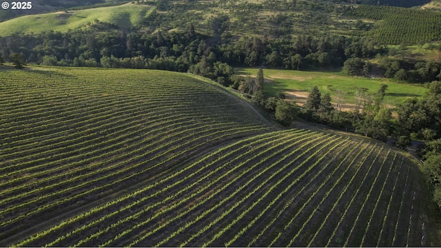5450 Mill Creek Rd, The Dalles, OR 97058 - aerial view of property's location