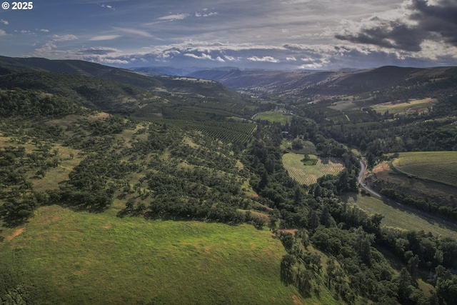5450 Mill Creek Rd, The Dalles, OR 97058 - view of mountain backdrop featuring rural landscape