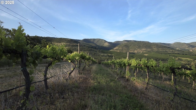 5450 Mill Creek Rd, The Dalles, OR 97058 - mountain view with rural landscape