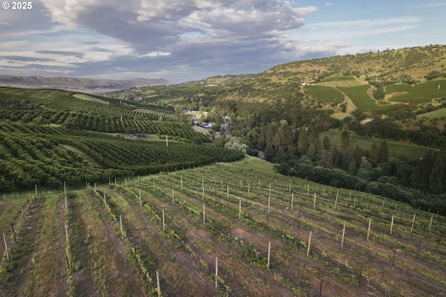 5450 Mill Creek Rd, The Dalles, OR 97058 - mountain view with abundant farmland and rural landscape