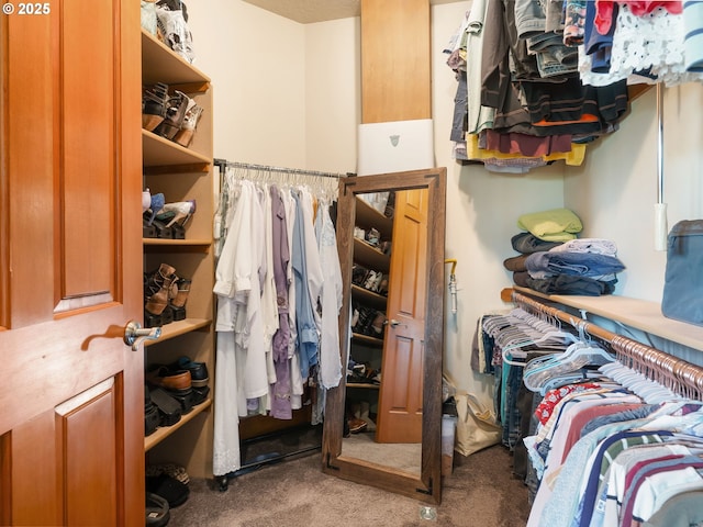 walk in closet featuring carpet flooring