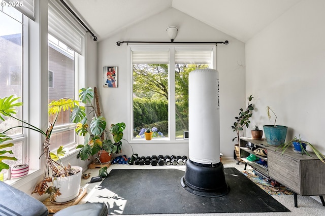 4053 Sabrena Ave, Eugene, OR 97404 - workout room featuring plenty of natural light and vaulted ceiling