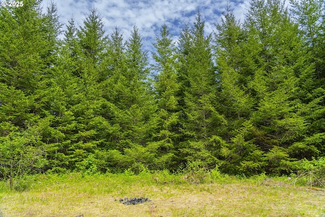 0 Shotgun Creek Rd, Marcola, OR 97454