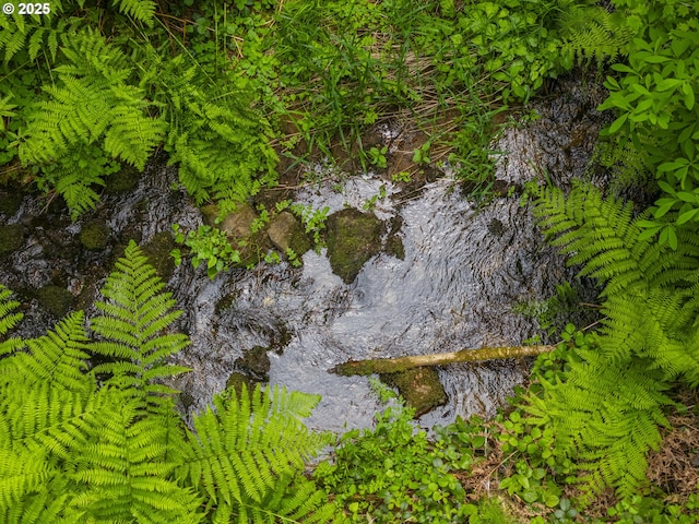 0 Shotgun Creek Rd, Marcola, OR 97454