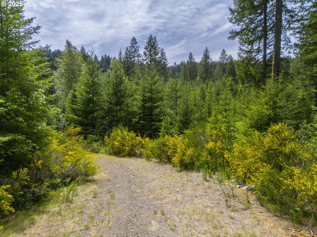 0 Shotgun Creek Rd, Marcola, OR 97454