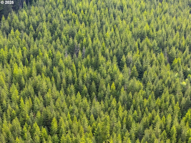 0 Shotgun Creek Rd, Marcola, OR 97454