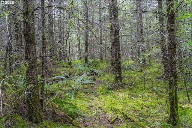 0 Shotgun Creek Rd, Marcola, OR 97454