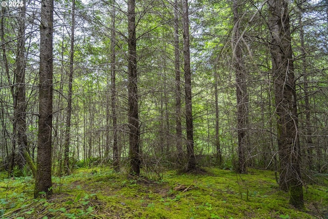 0 Shotgun Creek Rd, Marcola, OR 97454