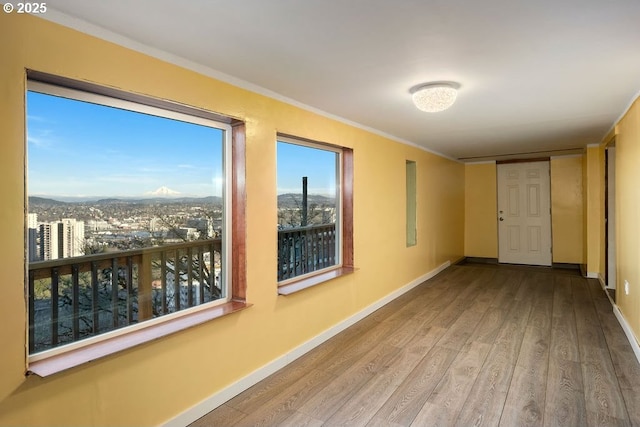 hallway featuring hardwood / wood-style flooring, crown molding, and a mountain view