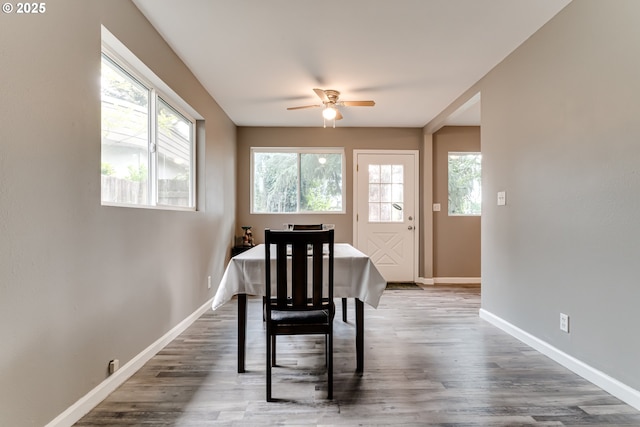 284 Waite St, Eugene, OR 97402 - dining room with a ceiling fan, wood finished floors, and baseboards