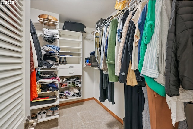 8895 SW Bohmann Pkwy, Portland, OR 97223 - walk in closet with carpet flooring