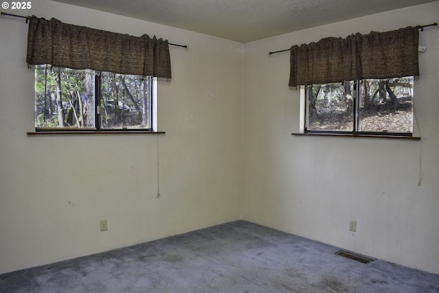 spare room with carpet floors and visible vents