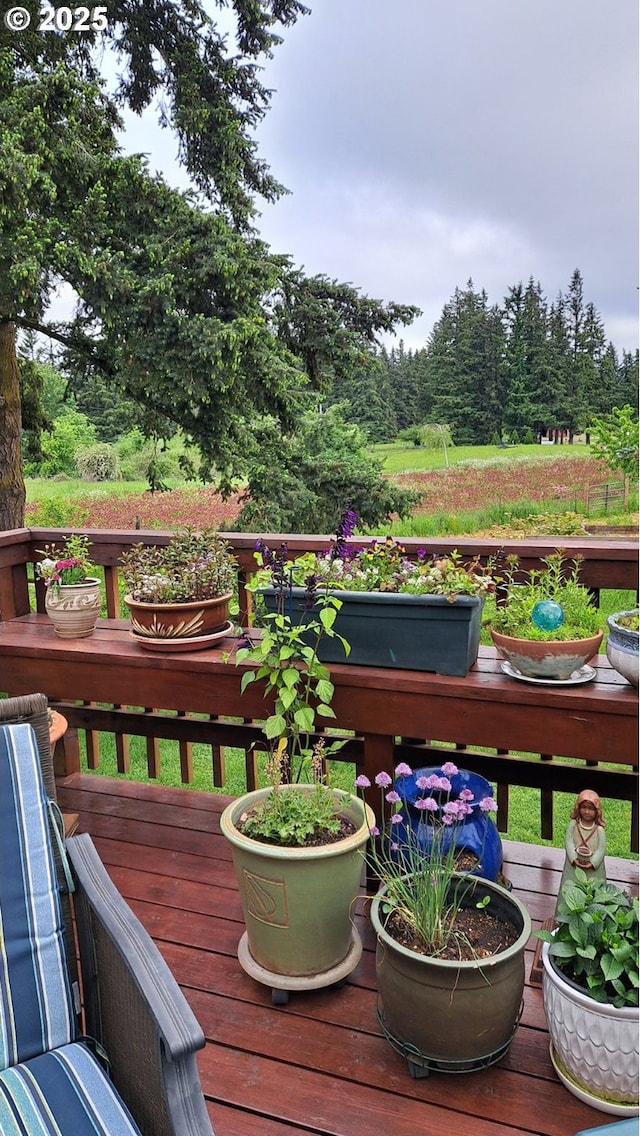 13601 S Union Hall Rd, Canby, OR 97013 - view of deck