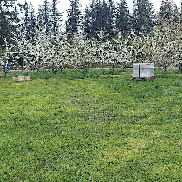 13601 S Union Hall Rd, Canby, OR 97013 - view of green lawn featuring mail area