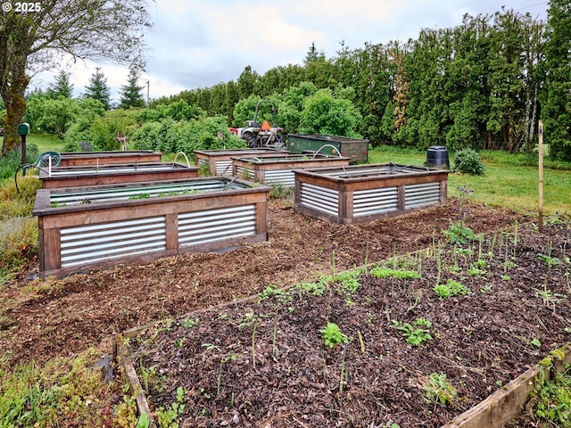 13601 S Union Hall Rd, Canby, OR 97013 - view of home's community with a garden