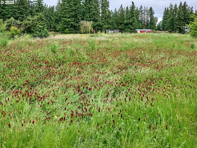 13601 S Union Hall Rd, Canby, OR 97013 - view of yard featuring a view of trees