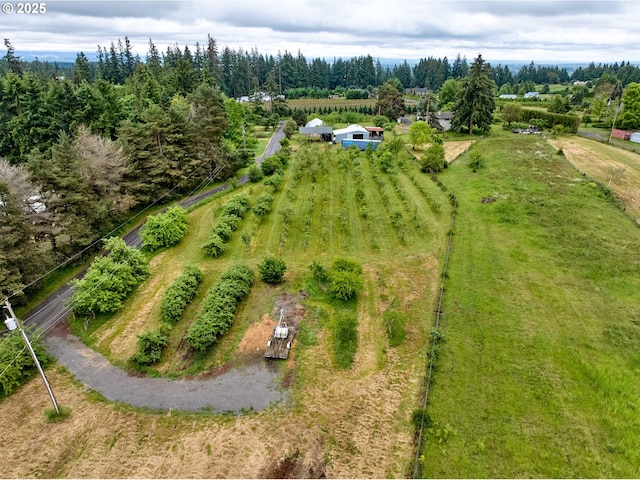 13601 S Union Hall Rd, Canby, OR 97013 - aerial view of sparsely populated area