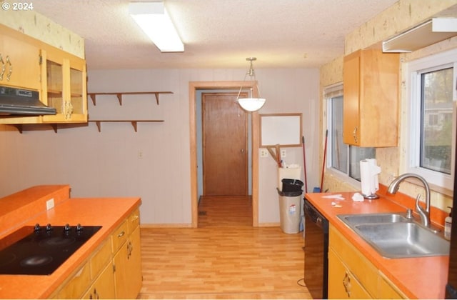 kitchen with open shelves, light wood-type flooring, under cabinet range hood, a sink, and black appliances
