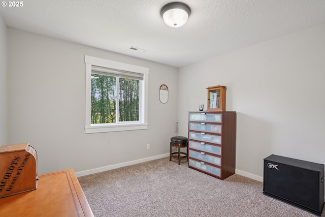 219 W Christy Ct, Yacolt, WA 98675 - living area with carpet, baseboards, and a textured ceiling