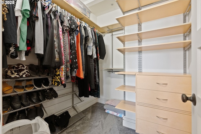spacious closet featuring carpet flooring