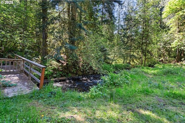 view of yard featuring a wooded view