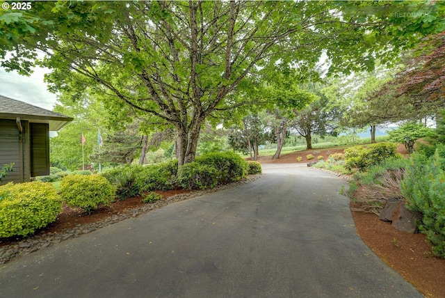 45585 NW David Hill Rd, Forest Grove, OR 97116 - view of property's community